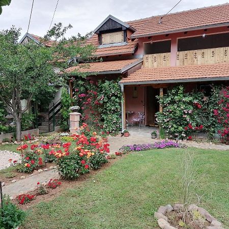 Apartman Mika Soko Banja Exterior foto