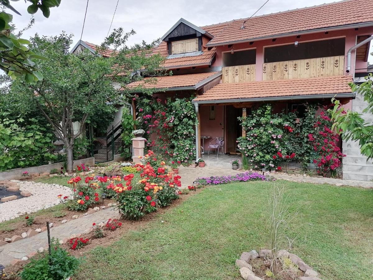 Apartman Mika Soko Banja Exterior foto