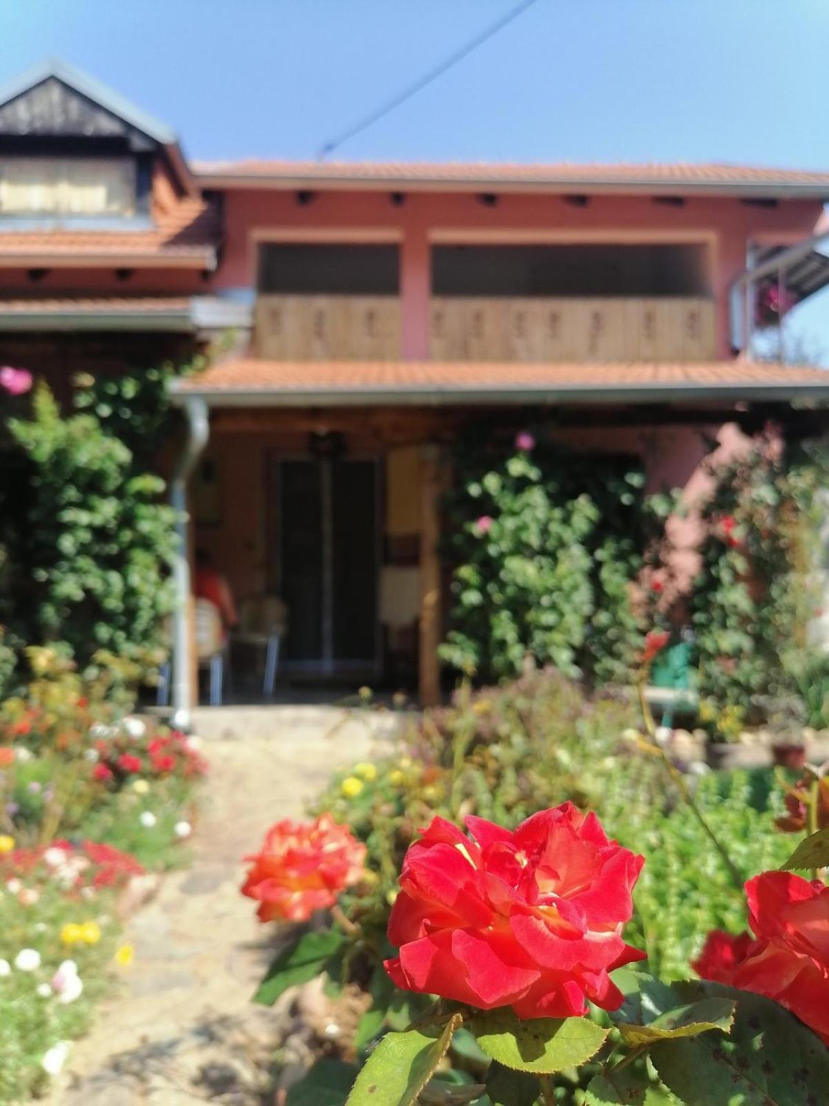 Apartman Mika Soko Banja Exterior foto