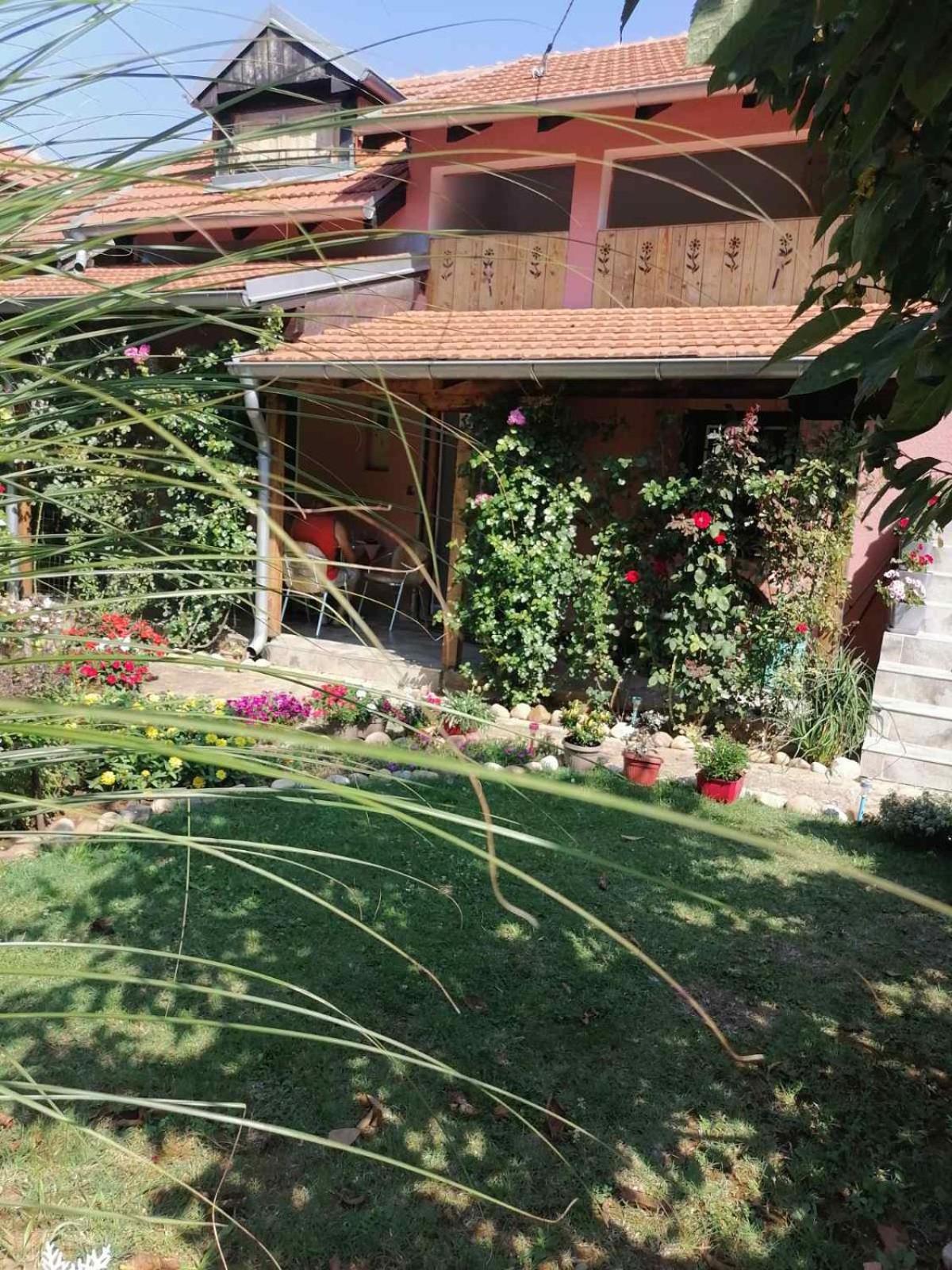 Apartman Mika Soko Banja Exterior foto